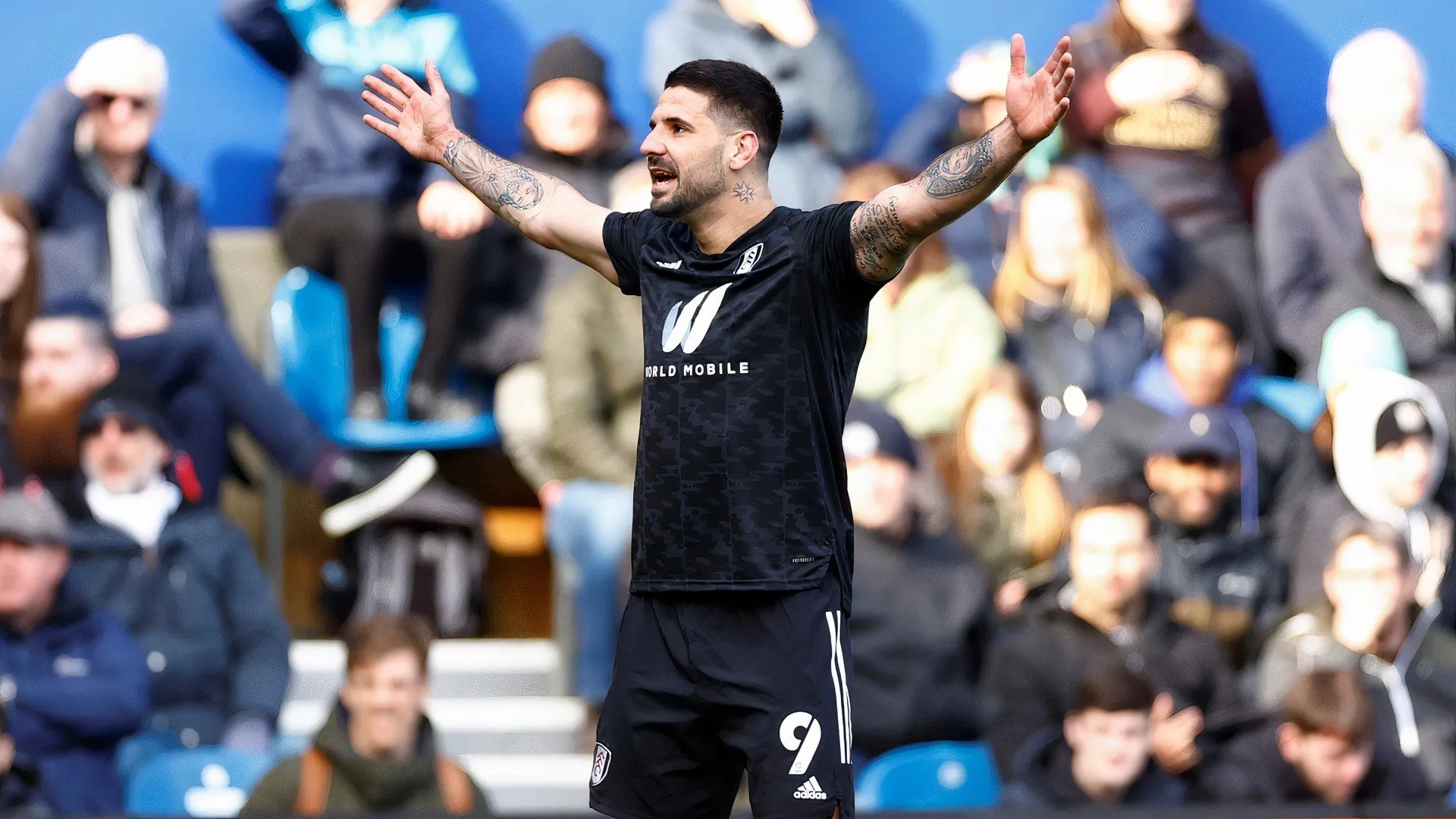 Tiền đạo Aleksandar Mitrovic trong màu áo Fulham, người từng có mùa giải bùng nổ tại Championship